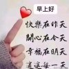 静心(阳光)的头像