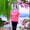 秋花快乐的头像
