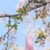 幸福像花一样的头像