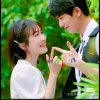梅花之艾的头像