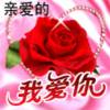 若影若现的头像