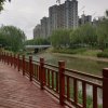 知足常乐的头像