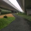 风风雨雨的头像