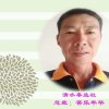 [清水秦益社总裁]苦乐年华的头像