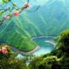 平平淡淡过一生的头像