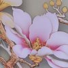 桑田沧海的头像