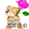 【风氏】风过无痕（纯属个人爱好，勿恶意评论）的头像