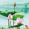 专业防水  潇遥江湖的头像