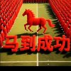 随缘42卫卫（停币）的头像