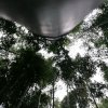 飞舞的头像
