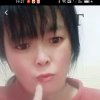 笨蛋的头像