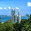 海棠花的头像