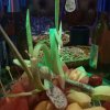 我爱我家的头像