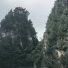 一路平安的头像