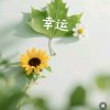 静默如初的头像