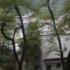 飞翔的头像