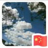 释晓云喜荣的头像