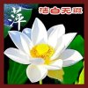 回忆总是那么伤的头像