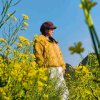 小蜜蜂的头像