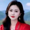 开心果的头像