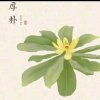 清风明月的头像
