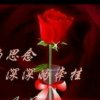 杰杰的头像
