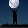 拥抱月亮（退）的头像