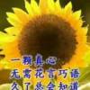 永不放弃的头像