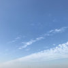  的头像