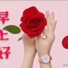 兰花花《迟复见谅》的头像