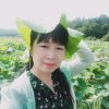小草的头像