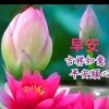 平淡的头像