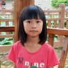红船吧V勇智坚的头像