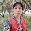 随缘的头像