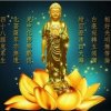 莲花的头像
