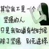 小太阳的头像