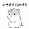 沙洲冷的头像