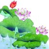 念慈的头像