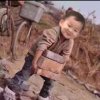 露媛的头像