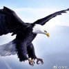 孙浩龙的头像