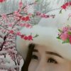雪中梅的头像