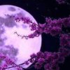 幸福一家的头像