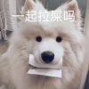 贫道不是妖僧的头像