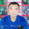 永不放弃的头像
