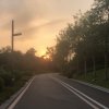 小小琴的头像