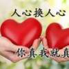 杨的头像