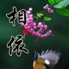 一丝晚霞的头像
