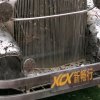 不再犹豫的头像