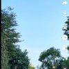 -回忆-的头像