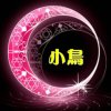 小鸟的头像
